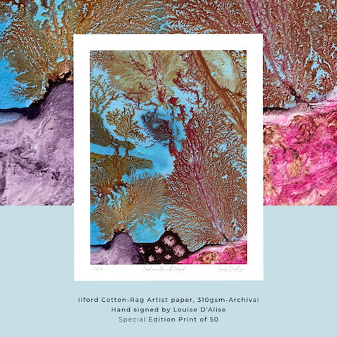 Coral Cove lilac with hot pink -Limited edition print