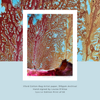Coral Cove Series - Limited Edition Prints