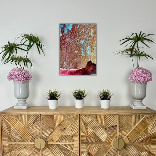 Coral Cove Gorgonian Specimen - Limited edition print