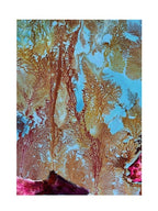 Gorgonian coral with orange and hot pink