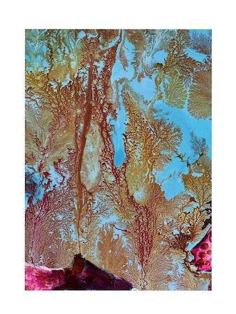 Gorgonian coral with orange and hot pink