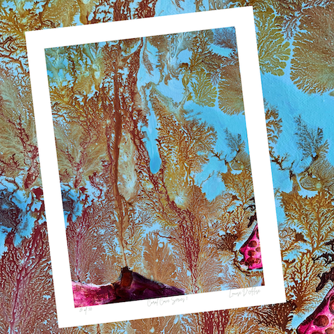 Coral Cove Gorgonian Gold -Limited edition print